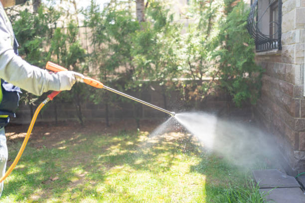 Emergency Pest Control Services in Peachtree Corners, GA